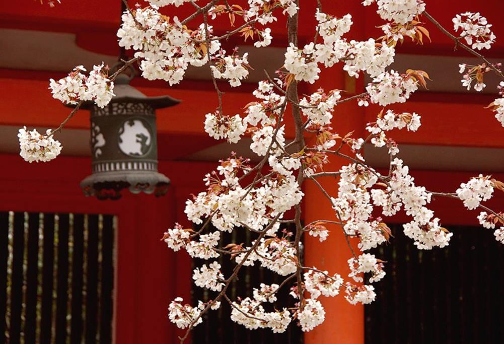 Nanako House Villa เกียวโต ภายนอก รูปภาพ